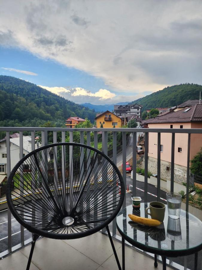 Cozy Studio 4 People With Parking Sinaia Exterior photo