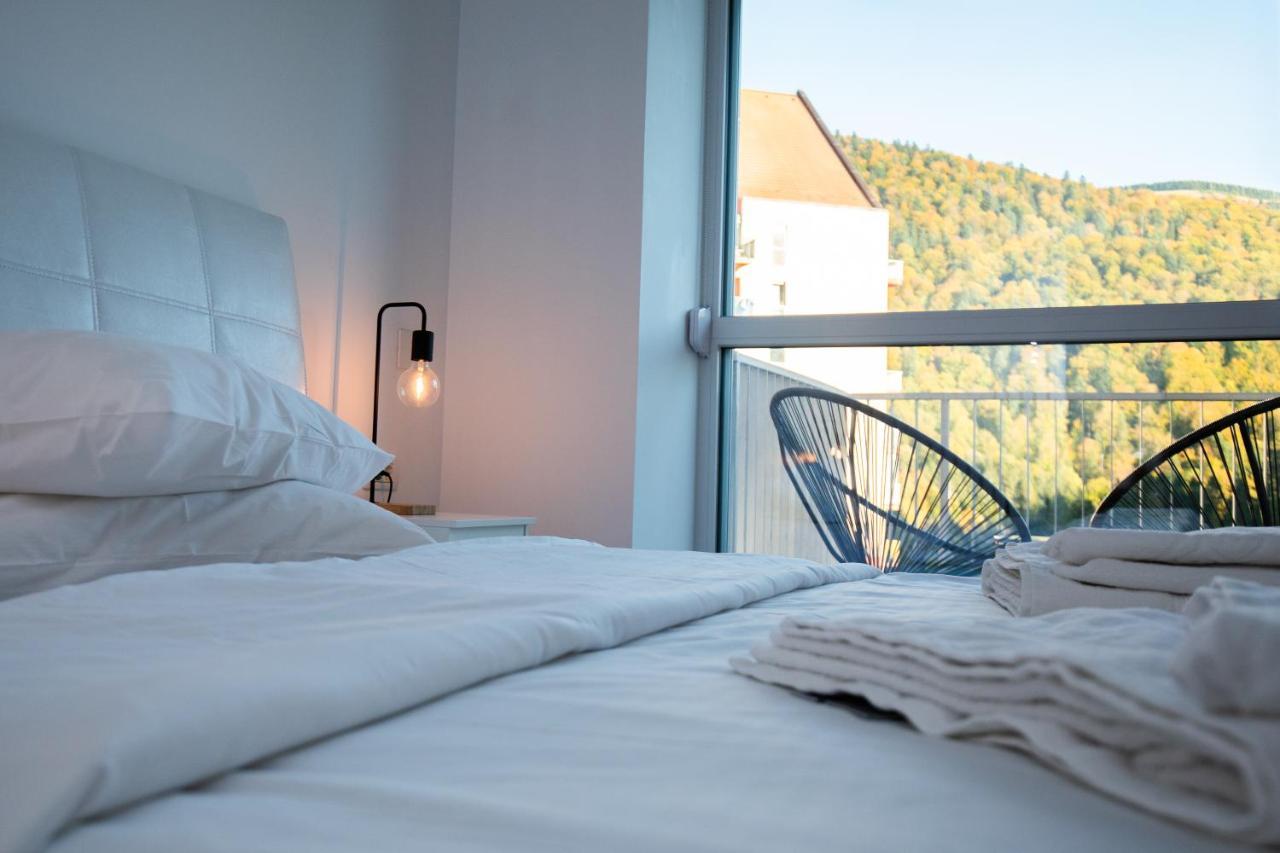 Cozy Studio 4 People With Parking Sinaia Exterior photo