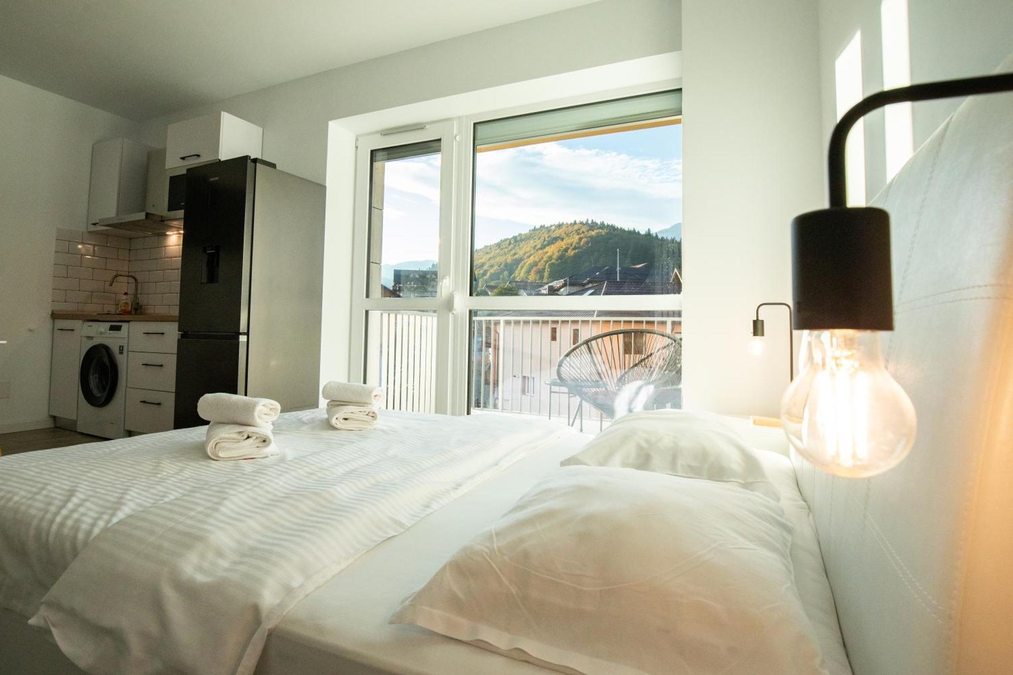 Cozy Studio 4 People With Parking Sinaia Exterior photo