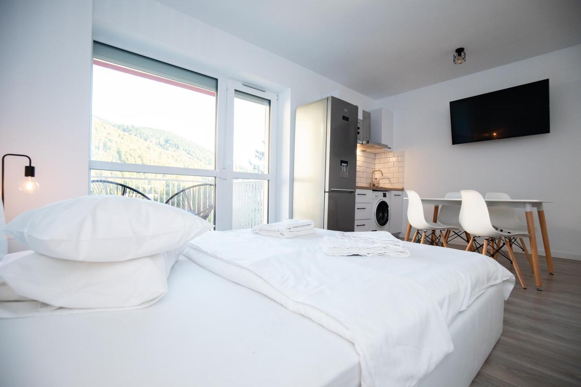 Cozy Studio 4 People With Parking Sinaia Exterior photo